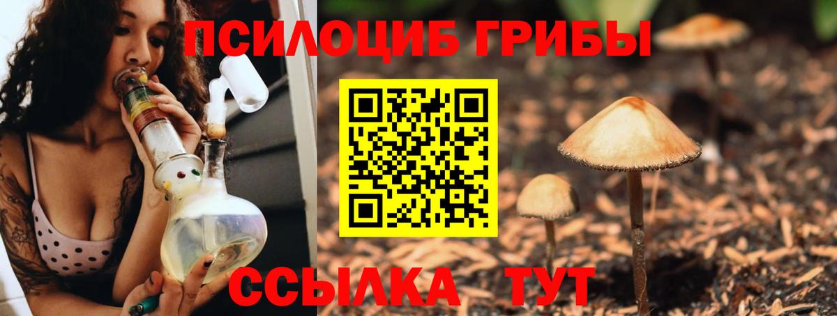 Петропавловск-Камчатский  Галлюциногенные грибы Psilocybine cubensis  Вход с VPN 